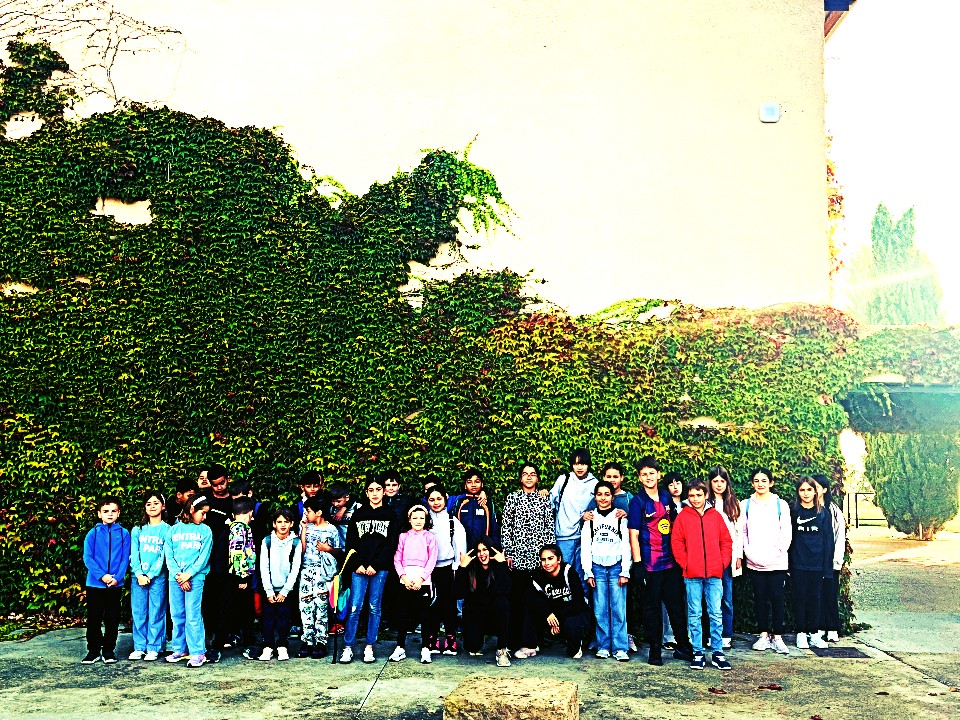 VISITAMOS UNA ALMAZARA ECOLÓGICA: ACEITES ARTAJO